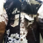 Cow skin jacket