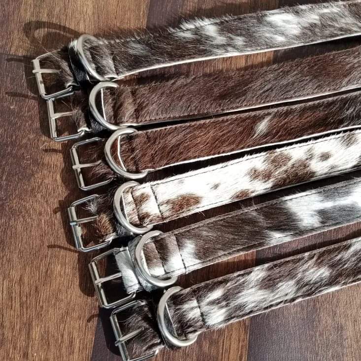 Cow Skin Dog Collar